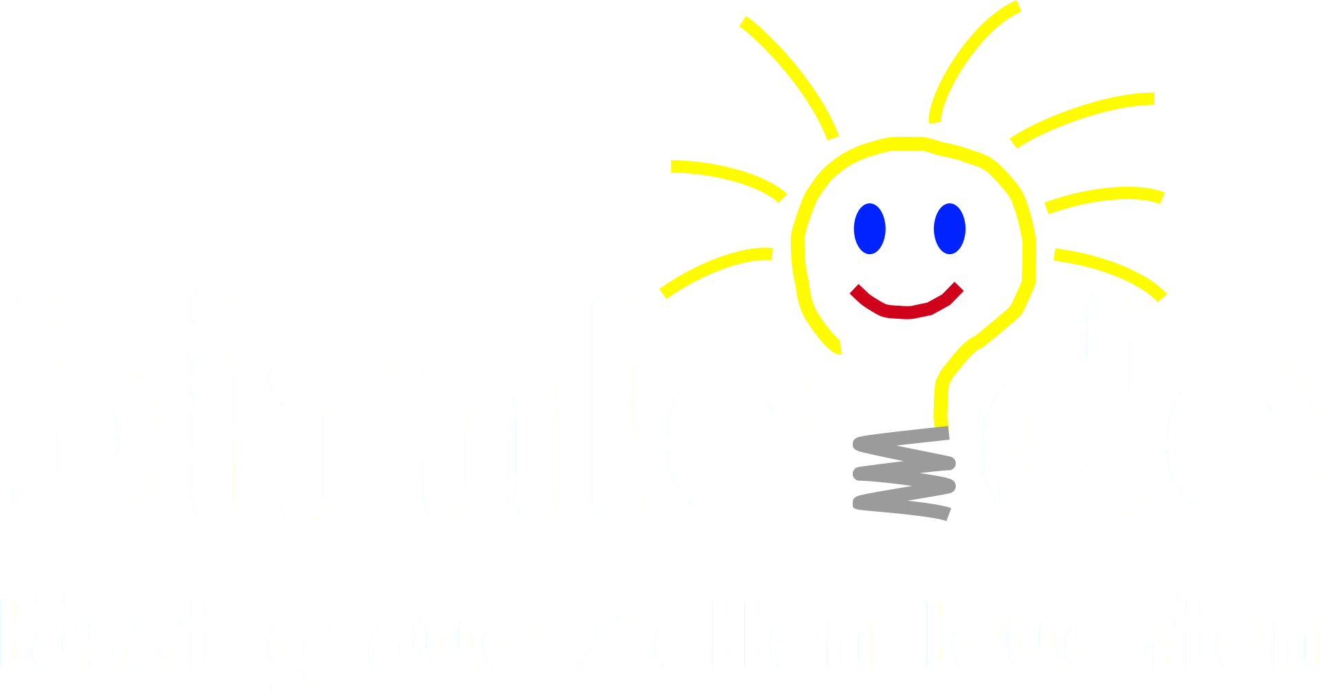 Birnle-Logo