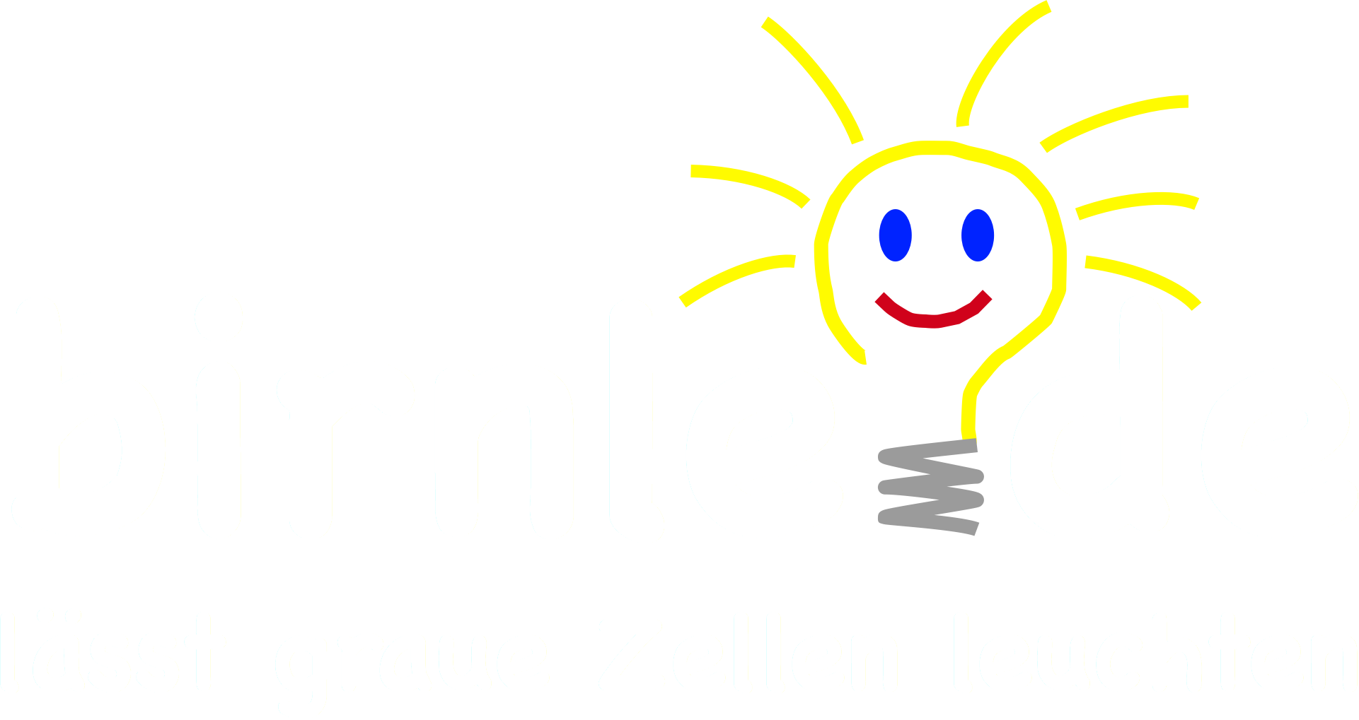 Birnle_Logo.png